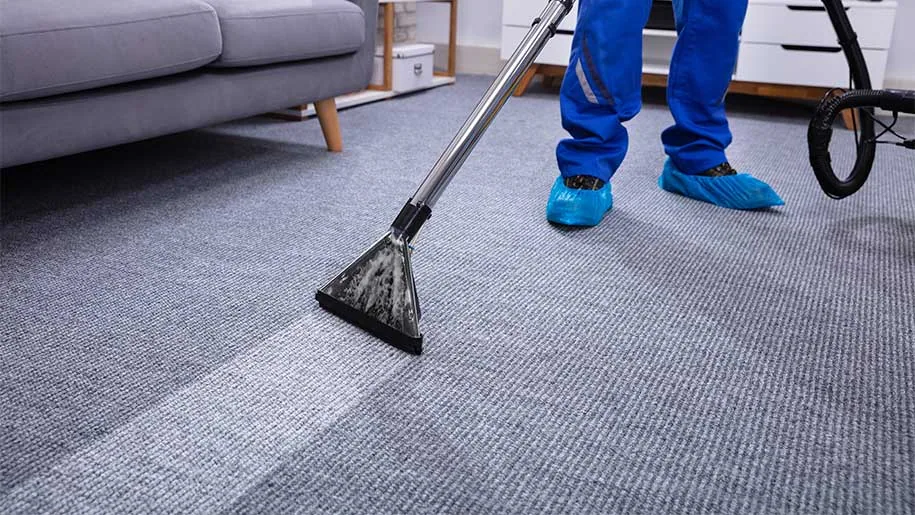 Carpet Cleaning PJ