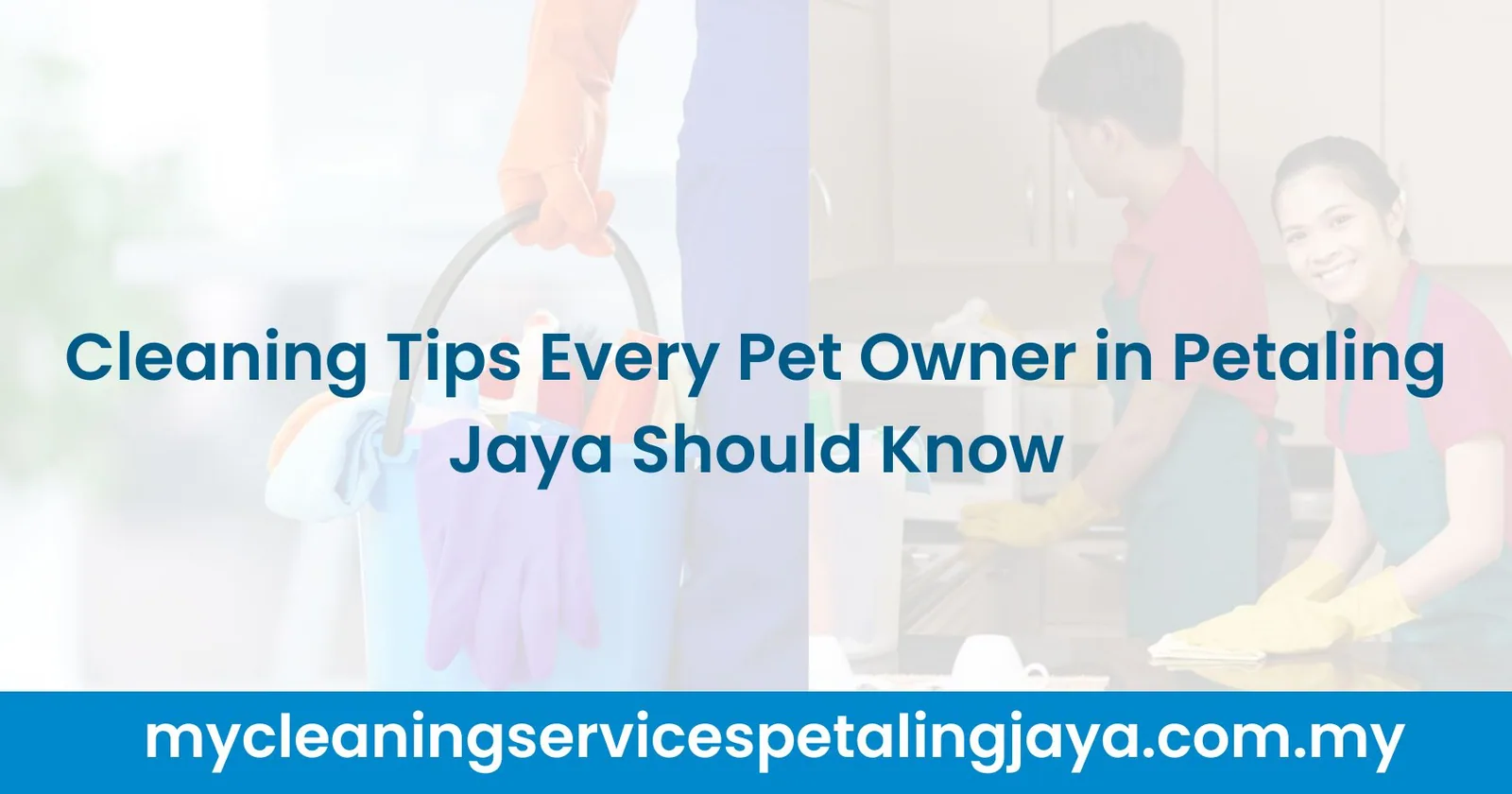 Cleaning Tips Every Pet Owner in Petaling Jaya Should Know