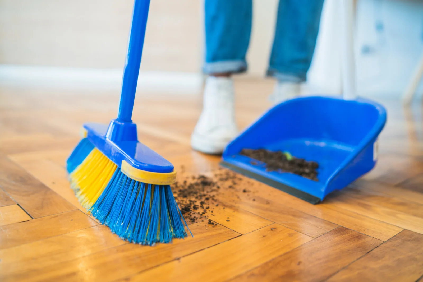 DIY vs Professional Cleaning in Petaling Jaya