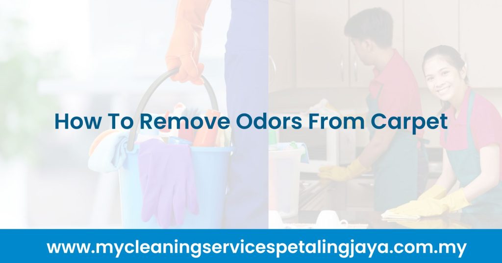 How To Remove Odors From Carpet [2024]