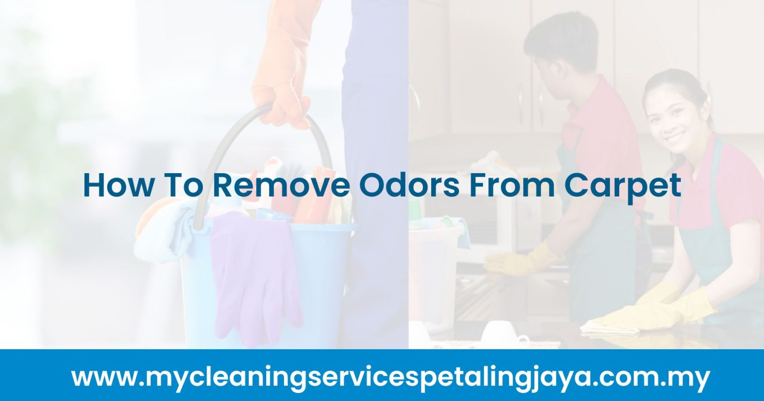 How To Remove Odors From Carpet [2024]